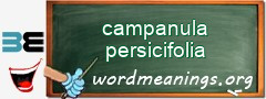 WordMeaning blackboard for campanula persicifolia